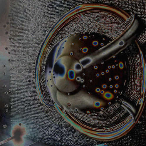 The Bellwether's Silence: When XRP's Classification Becomes a Senate Roll Call