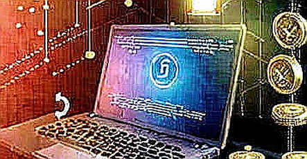 The $340 Billion Treasury Mirage: Why Digital Asset Companies Are the Most Dangerous Trade in Crypto