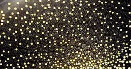The Signal in the Noise: Why a Crypto Media Outlet Covering a Football Friendly Matters More Than the Match Itself