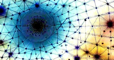 The Empty Ledger: When Data Absence Becomes the Loudest Signal