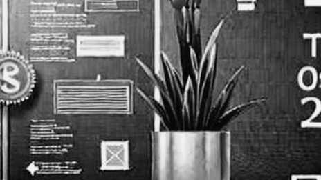 The Empty Ledger: Why Lack of Data Is the Loudest Signal
