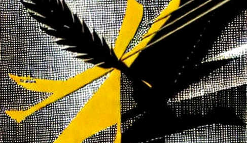 The XRP Ledger’s Silent Contradiction: Why Record Low Activity Is the Loudest Signal