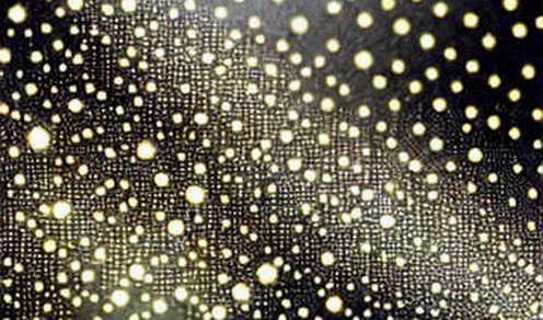 The $32 Billion Paper Wall: Why Bitcoin's Spot Market Is Lying to the Futures Frenzy